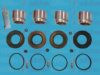 AUTOFREN SEINSA D41766C Repair Kit, brake caliper